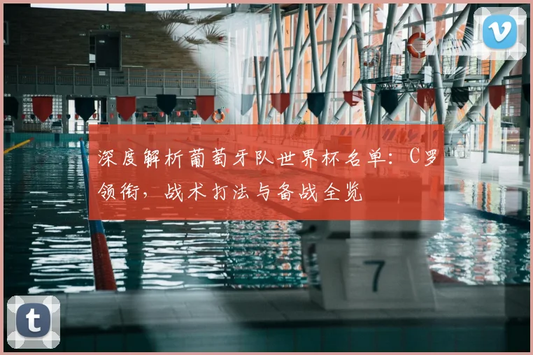 深度解析葡萄牙队世界杯名单：C罗领衔，战术打法与备战全览