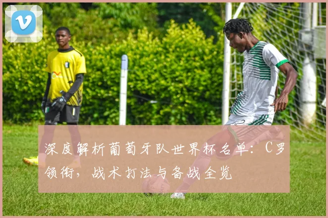 深度解析葡萄牙队世界杯名单：C罗领衔，战术打法与备战全览